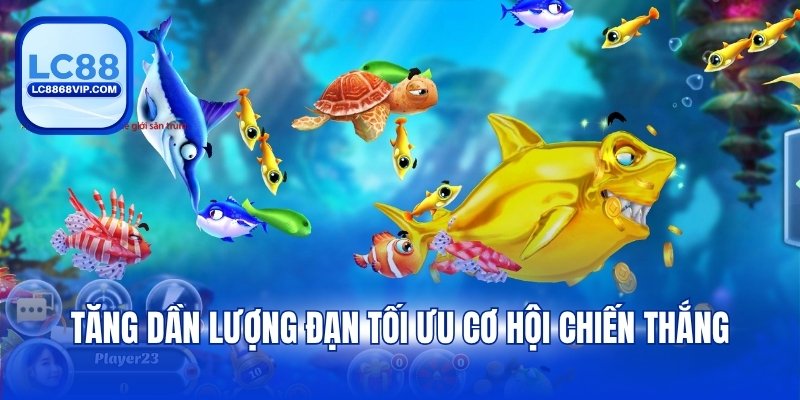 Tăng dần lượng đạn tối ưu cơ hội chiến thắng